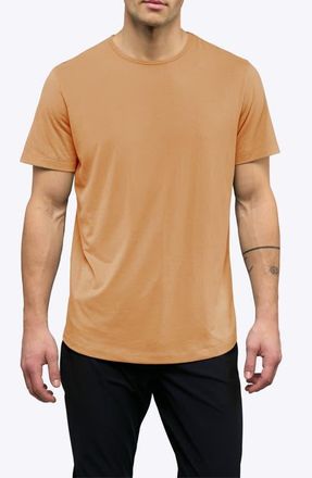 Cuts AO Curve Hem Cotton Blend T-Shirt in Meerkat at Nordstrom, Size Xx-Large