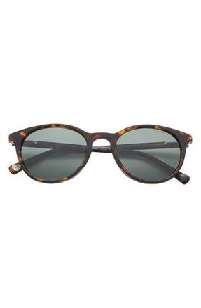 Ted Baker 51mm Polarized Round Sunglasses in Tortoise at Nordstrom Rack