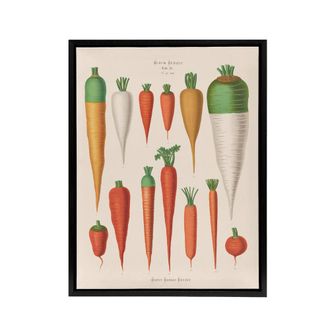 Artery8 Carrots Vegetables Kitchen Ernst Benary Framed Canvas Wall Art Print in White | Size: W24 x H32