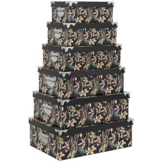 5five Simply Smart 5five Simply Smart - 6 Cajas Esquineras De Jungla - 5five