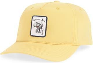 Swannies Fade Snapback Cap in Gold at Nordstrom Rack