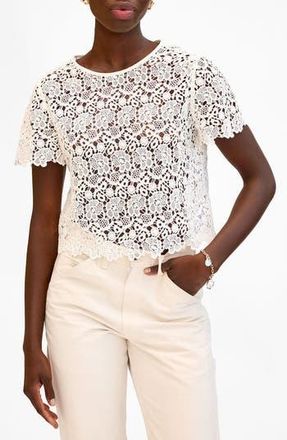 Clare Vivier LouLou Lace Cotton Top in Milk at Nordstrom Rack, Size Xx-Large