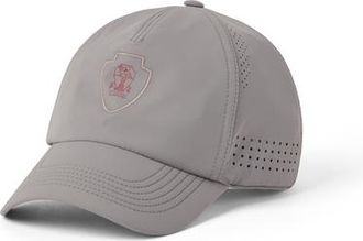 Brunello Cucinelli Baseball cap with logo in Grey at Nordstrom, Size X-Large