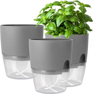 OEM Maceta Para Hierbas - Sistema De Riego Autom&aacute;tico - Para Alf&eacute;izar De Ventana Y Cocina - 18,2 X 11 X 15,3 Cm - Gris - Pack De 3