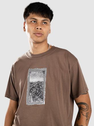 Volcom TT B Iguchi Valley T-Shirt braun