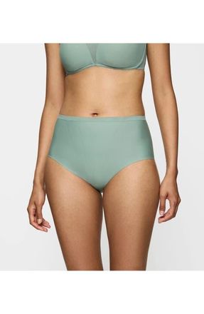 Triumph Shape Smart Shaping Panties in Abstinthe at Nordstrom, Size X-Large