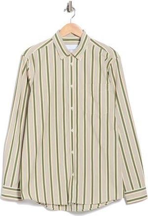 Les Deux Kent Stripe Peached Organic Cotton Poplin Button-Down Shirt in Chive Green/Thai Curry at Nordstrom Rack, Size Xx-Large