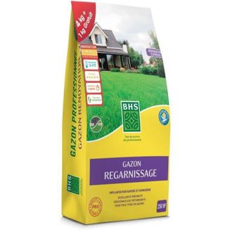 BHS C&eacute;sped Replantado De C&eacute;sped 5kg