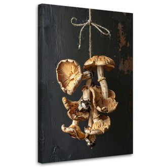 Feeby Cuadro En Lienzo, Setas Secas, 80x120