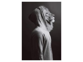 Schubiger M&ouml;bel Digitaldruck auf Glas L&ouml;we im Hoodie