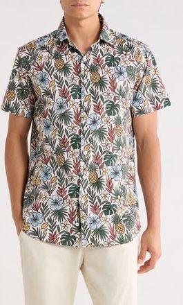 Rodd & Gunn Yelverton Sports Fit Button-Up Shirt in Moss at Nordstrom Rack, Size Xx-Large
