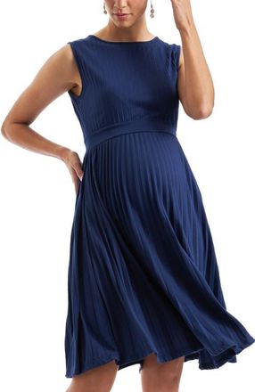 Ripe Knife Pleat Dress - Round Neck in Blueprint at Nordstrom, Size X-Small Au