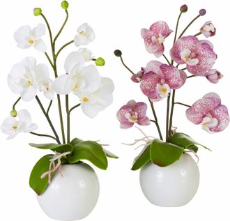I.GE.A. Kunstpflanze »Orchidee«