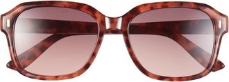 BP. Gradient Square Sunglasses in Tortoise at Nordstrom