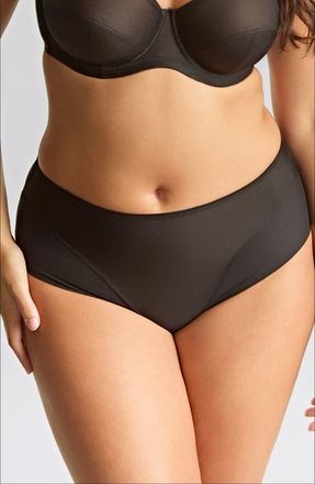 Panache Tango Essence Mesh Cheeky Briefs in Black at Nordstrom, Size 3X-Large