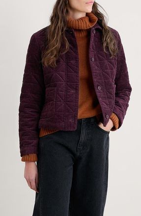 Seasalt Cornwall Incoming Tide Quilted Organic Cotton Corduroy Jacket in Dark Hellebore at Nordstrom, Size 12 Us