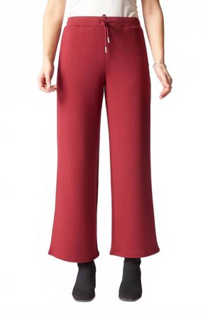 Habitat Passport Knit Travel Pant In Wine