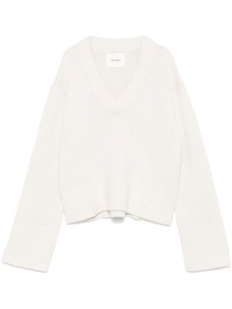 Lisa Yang Wing Vneck Sweater