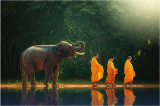 Schubiger M&ouml;bel Digitaldruck auf Glas M&ouml;nchwanderung mit Elefant