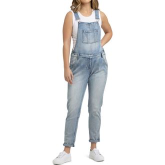 Ripe Denim Overalls in Pale Blue at Nordstrom, Size X-Small Au