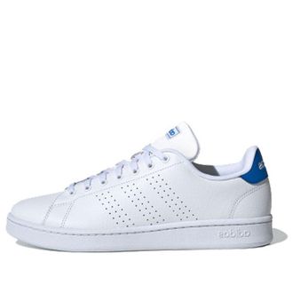 adidas Advantage White Glory Blue FX3456