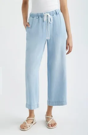 Cloth & Stone Wide Leg Crop Denim Pants in Cool Capri Wash at Nordstrom, Size X-Small