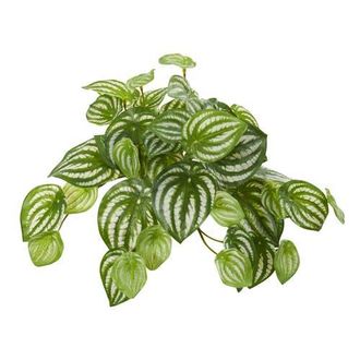 Nearly Natural 11-in Watermelon Peperomia Hanging Artificial Bush Plant in Green at Nordstrom