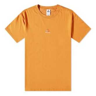 Nike ACG OG Logo T-Shirt Monarch DQ1815-815