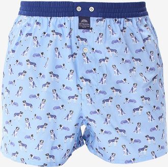 MC Alson Boxershorts aus Baumwolle Saint Bernards