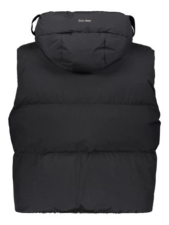 Herno hooded quilted gilet - women - Polytetrafluoroethylene (PTFE)/Down/Polyester/Feather/Polyester - 46 - Black