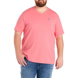 Psycho Bunny Big & Tall V-Neck T-Shirt in Rubi Quartz at Nordstrom, Size 3X Big