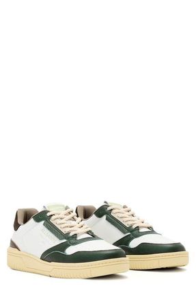 AllSaints Regan Low Top Sneaker in Chalk White/Green at Nordstrom, Size 13