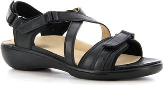 Ziera Womens Bravo Backstrap Sandal In Black