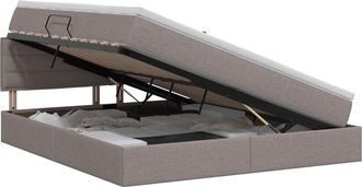 vidaXL Cama Con Almacenamiento Y Colch&oacute;n Topo 180 X 200 Cm Terciopelo Vidaxl