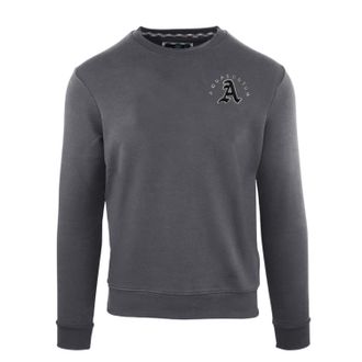 Aquascutum Heren Sweatshirt Ronde Hals (Antraciet)