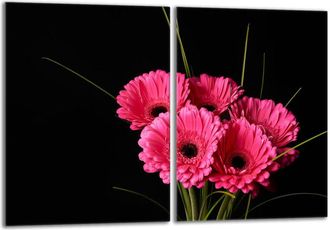 OEM Placa Protectora De Vidrio Para Estufa 2x40x52 Gerbera