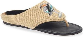 Farm Rio Icons Raffia Flip Flop in Tucan Black at Nordstrom, Size 6.5