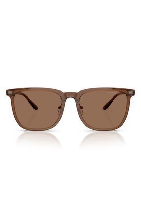 Emporio Armani 56mm Irregular Sunglasses in Shiny Brown /Dark Brown at Nordstrom