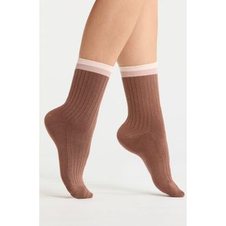 Nordstrom Tipped Wide Rib Dress Socks in Brown Nut at Nordstrom, Size 9