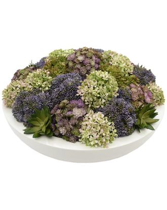 Creative Displays Inc. Sedum & Succulents Arranged In Round Planter
