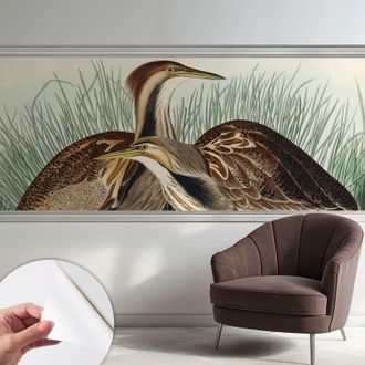 Tulup Fotomurale Adesivo - Murale Da Parete - Carta Da Parati Autoadesiva - Design Parete Moderno - Uccelli Realistici 250x104 Cm