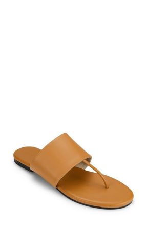 Yosi Samra Ella Flip Flop in Whiskey at Nordstrom, Size 10