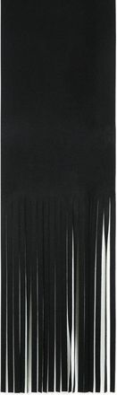 Sportmax Long Scarf With Avocado Fringes In Black Virgin Wool