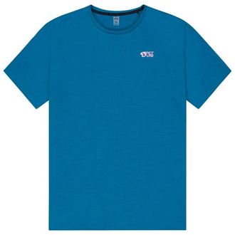 Picture Timont S/S Urban Tech Tee Funktionsshirt f&uuml;r Herren | blau
