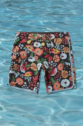 Vissla South Point Boardies In Multi