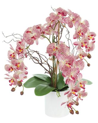 Creative Displays Inc. Modern Pink Orchid Arrangement In Round Fiberstone Pot