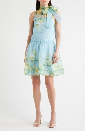 Julia Jordan Placed Floral Drop Waist Cocktail Dress in Blue Yellow at Nordstrom, Size 16