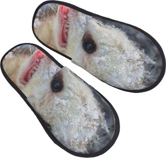 Generic Hotel Slippers Possum Hissing Lightweight Camping Slippers Non-Slip Anti-Slide Slipper For Spa Ladies Women L