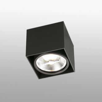 Netlighting Tecto 1 Light Square Surface Mounted Downlight Black