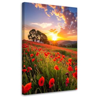 Feeby Cuadro Sobre Lienzo, Campo De Amapolas, Flores, Atardecer, 80x120